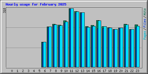 Hourly usage for February 2025