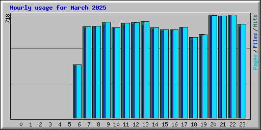 Hourly usage for March 2025